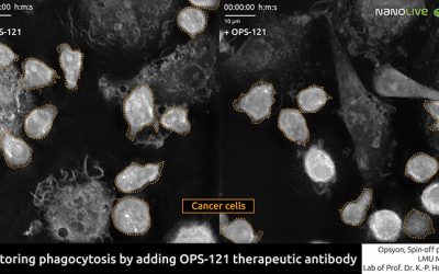 Nanolive imaging validates antibody efficacy in the fight against cancer