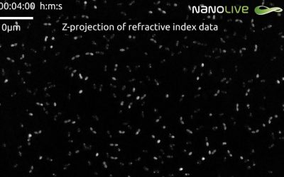 Nanolive label-free live cell imaging weighs in on the fight against antibiotics resistance