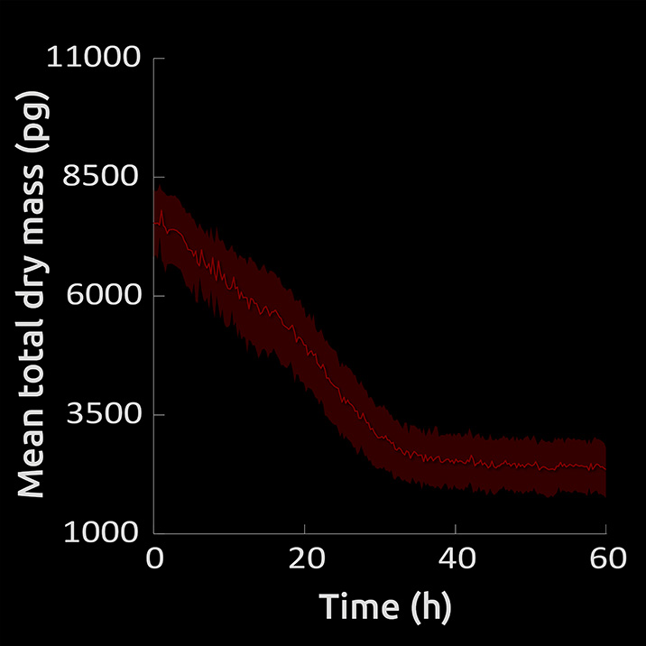Mean total dry mass graph red