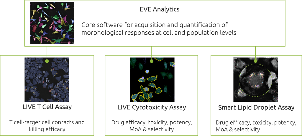 Overview of Nanolive’s suite of automated digital assays for cell analysis.